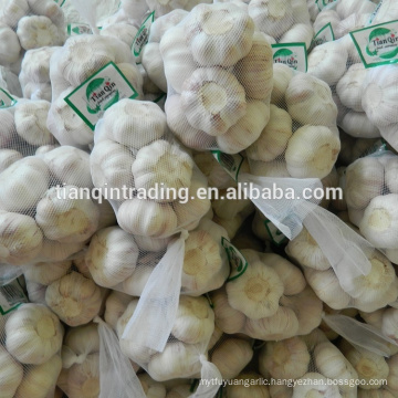 Fresh Chinese garlic from China garlic supplier